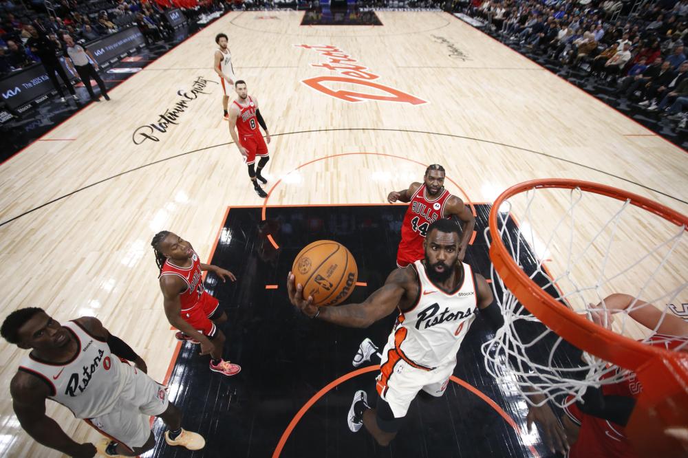 这一陈述表 这一陈述表